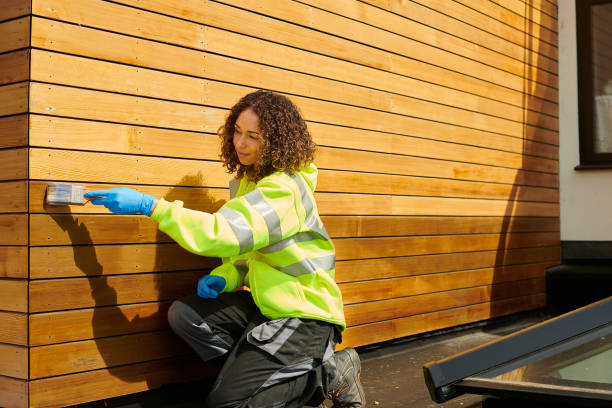 Best Insulated Siding Installation  in Las Palmas Ii, TX